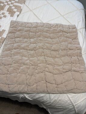 Pottery Barn Pillow Sham